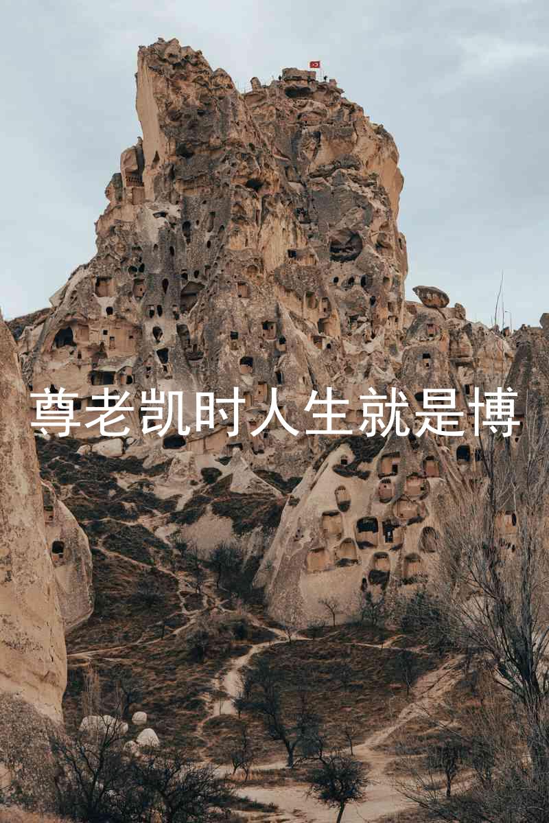 尊老凯时人生就是博
