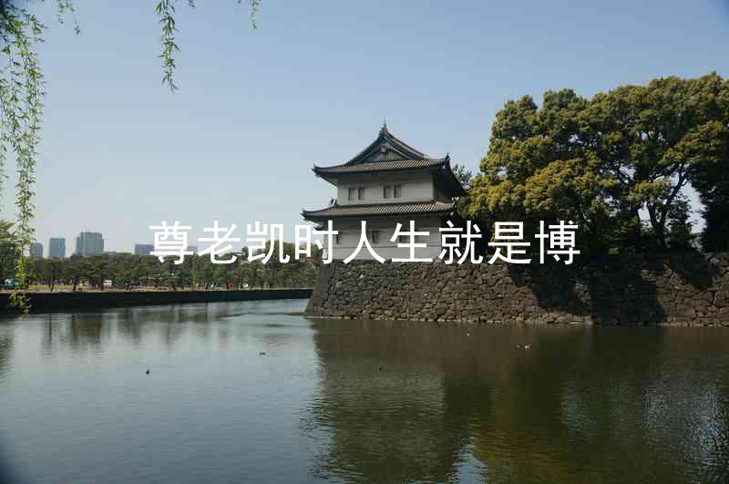 尊老凯时人生就是博