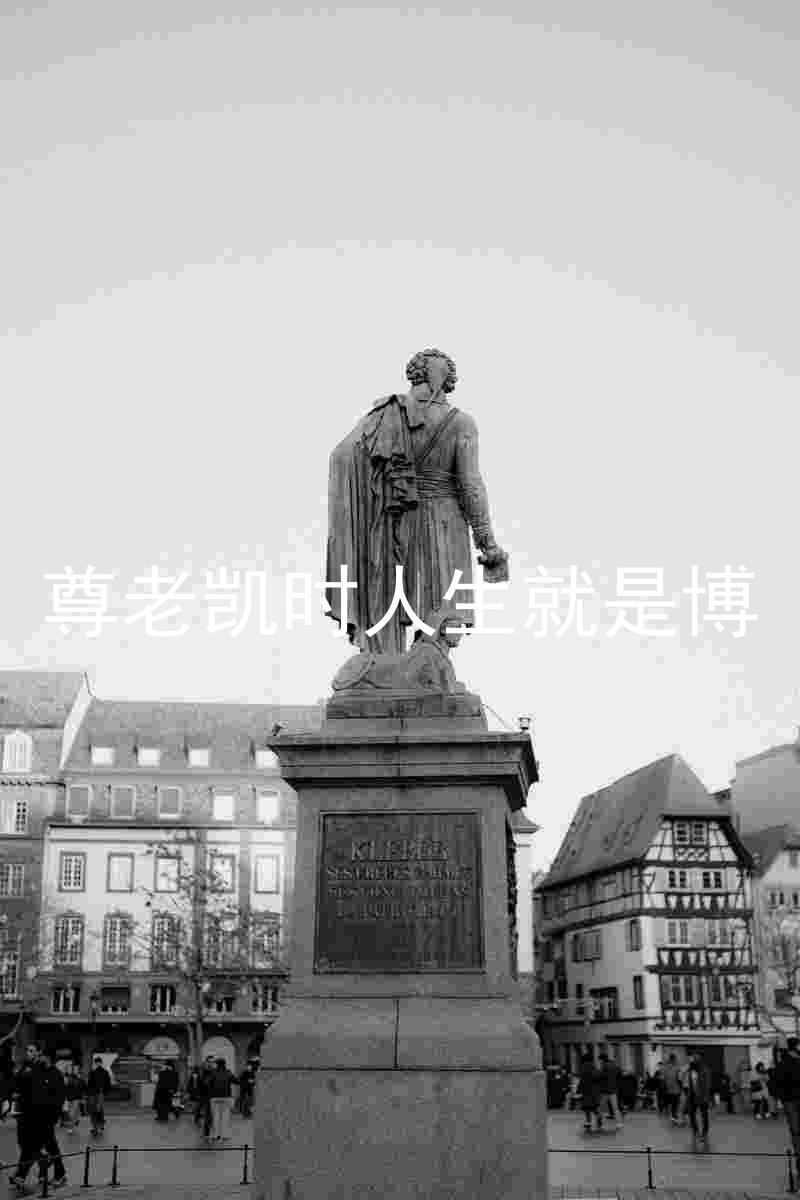尊老凯时人生就是博